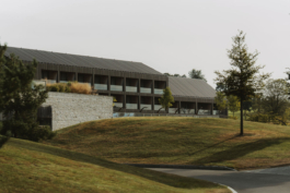 Janne Kern, Film, Fotografie, Filmproduktion, Freiburg, Basel, Lörrach