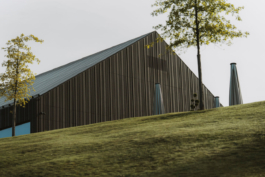 Janne Kern, Film, Fotografie, Filmproduktion, Freiburg, Basel, Lörrach