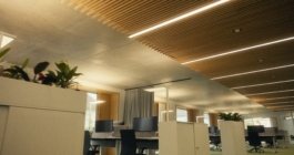 Janne Kern, Film, Fotografie, Filmproduktion, Freiburg, Basel, Lörrach