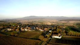 Restaurant Traube Blansingen Imagemoods bei der Arbeit im Betrieb Janne Kern, Film, Fotografie, Filmproduktion, Freiburg, Basel, Lörrach