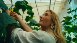 Frau läuft durch Gurkenplantage Janne Kern, Film, Fotografie, Filmproduktion, Freiburg, Basel, Lörrach